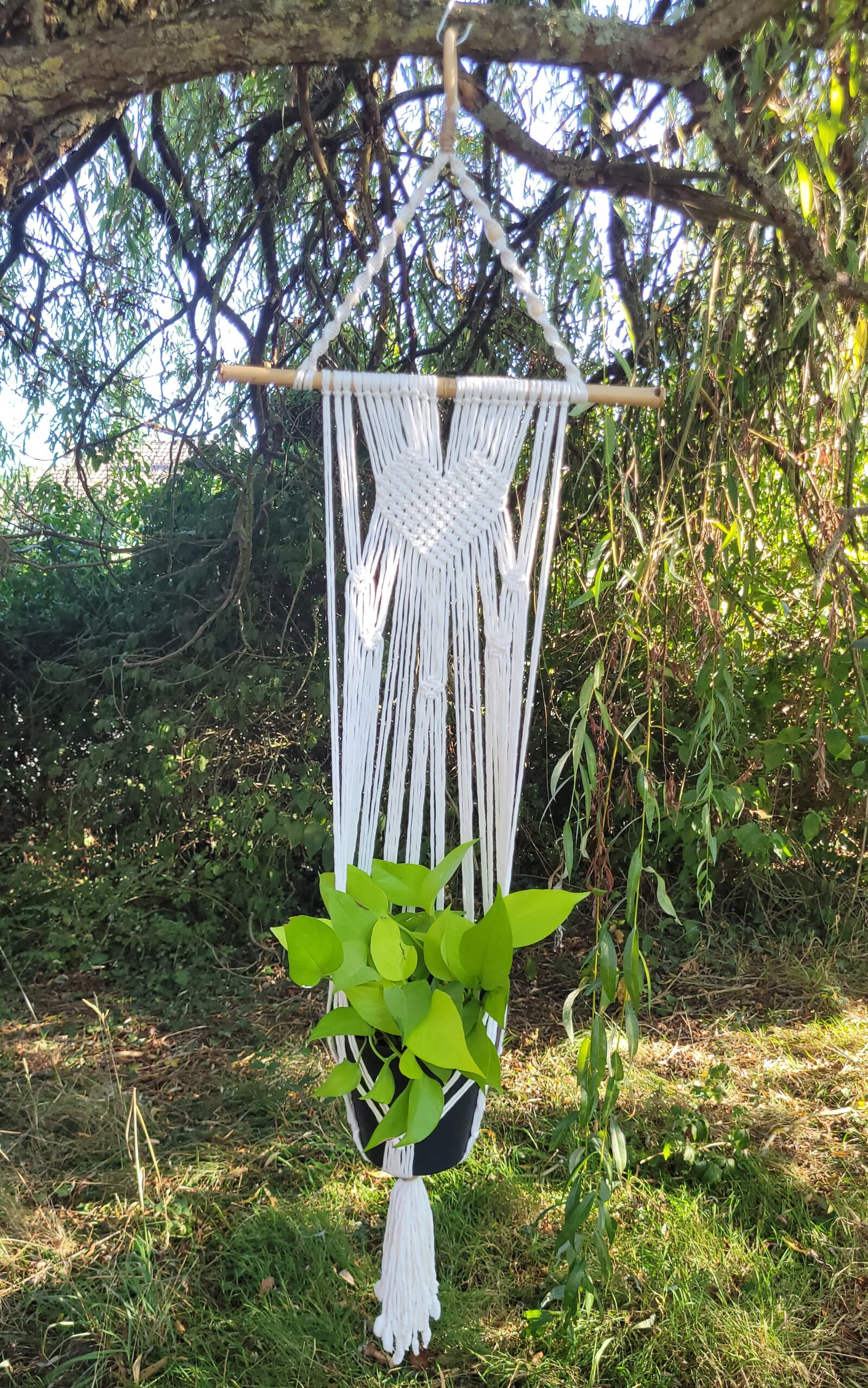 Suspension pour plantes cœur